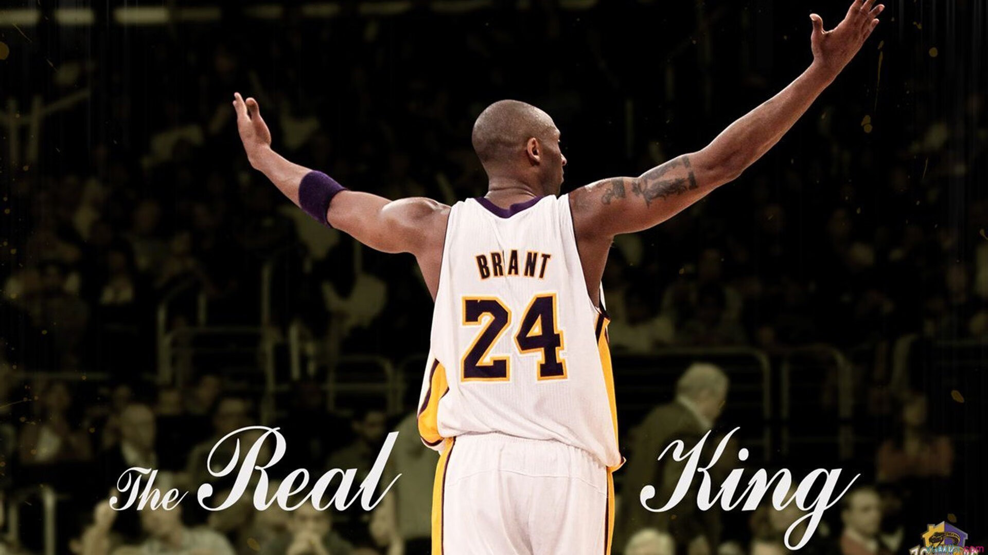 爱游戏在线登录入口-《电竞行业的“隐形冠军”：幕后力量崛起》，电竞幕后工作人员